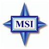 MSI