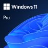 Microsoft Windows 11 Professional (NL OEM)